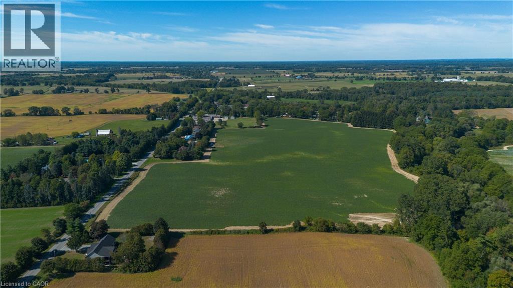 Expansive land parcel featuring open fields and mature tree lines - 264 Old Highway 24, Waterford, ON