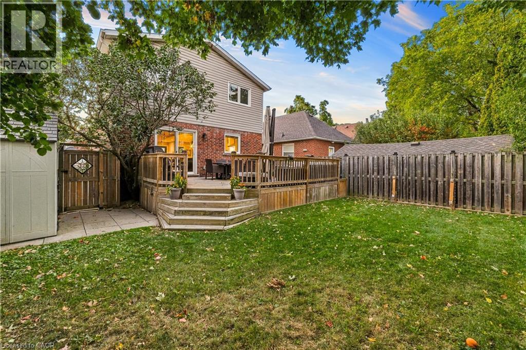 Expansive backyard featuring a wood deck, a manicured lawn, and privacy fencing. Shed off to the side. Mature maple tree in backyard. - 58 Uplands Avenue, Hamilton, ON