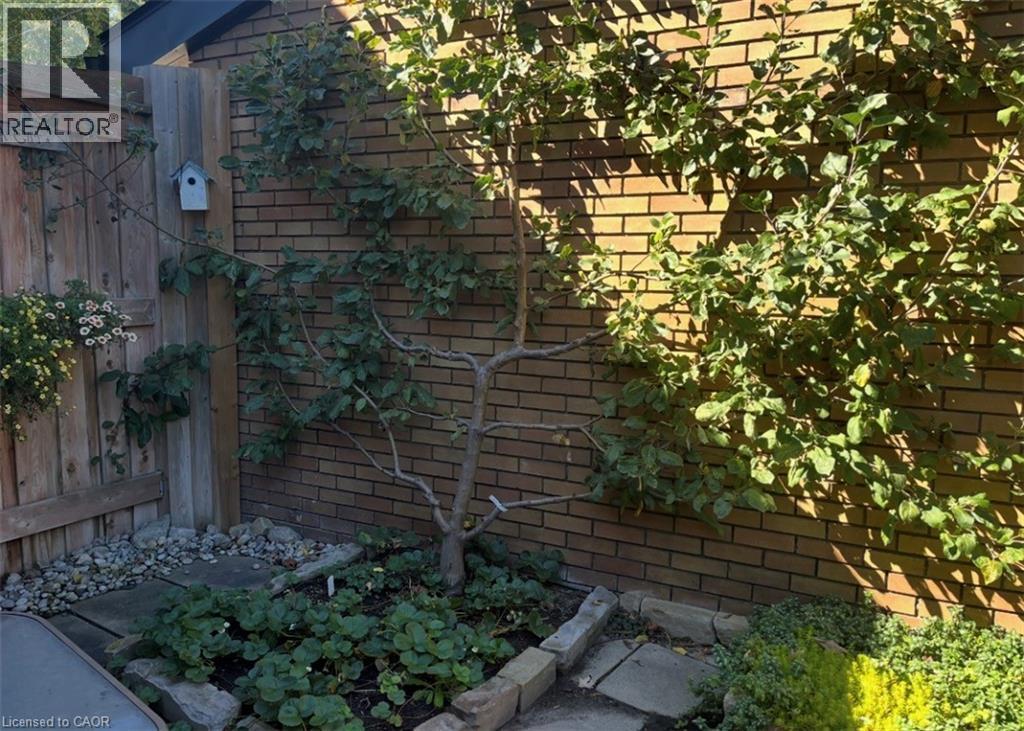 296 Weber Street E, Kitchener, ON