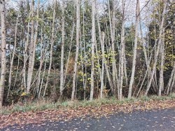 Lot E Tatton Rd Courtenay, BC V9N 7E4