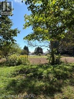 Expansive open land with mature trees and natural landscaping - 9 Concession 5 Road E, Hamilton, ON