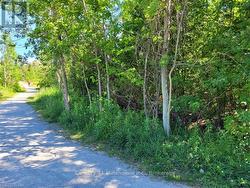 11325 26 HIGHWAY Collingwood, ON L9Y 5H8