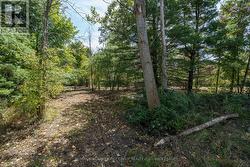 00 PALACE ROAD Greater Napanee (Greater Napanee), ON K7R 3L2