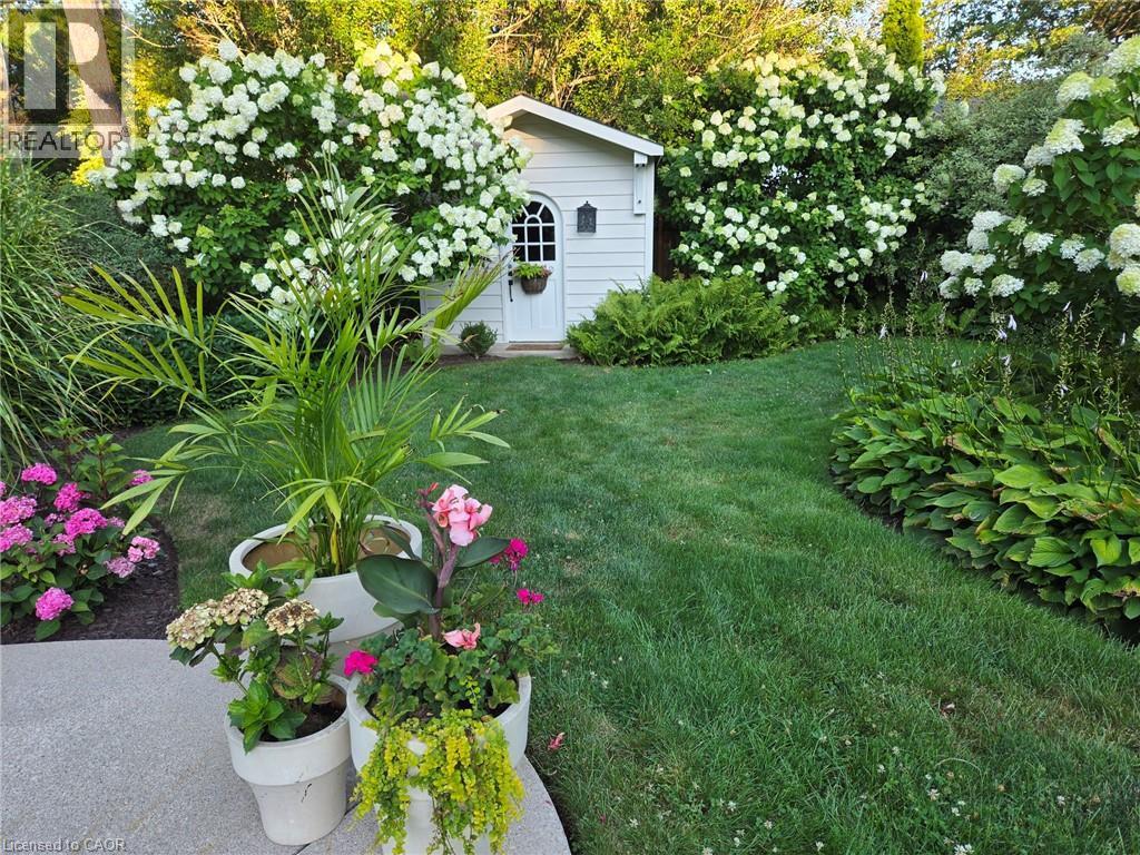 Large rear garden shed. Also pool shed, not pictured. Limelight hydrangea. - 3040 First Street, Burlington, ON