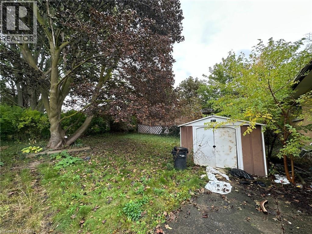 Expansive yard with mature trees, established green space, and a storage shed - 84 Weber Street S, Waterloo, ON