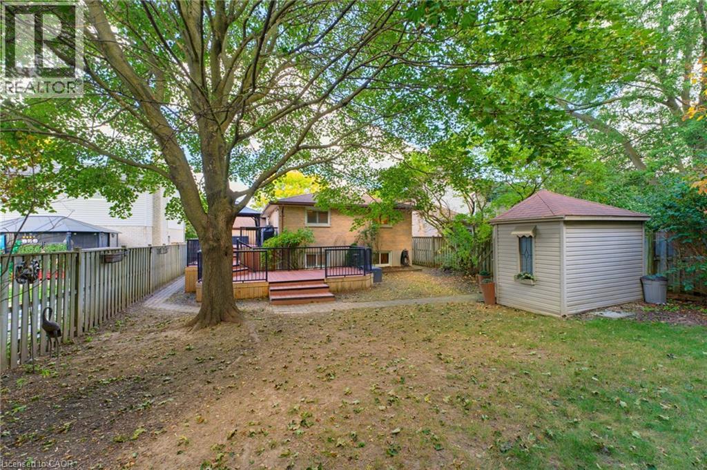 Expansive backyard featuring a multi-level composite deck, mature trees, storage shed, and fenced yard. - 77 Yellow Birch Drive, Kitchener, ON