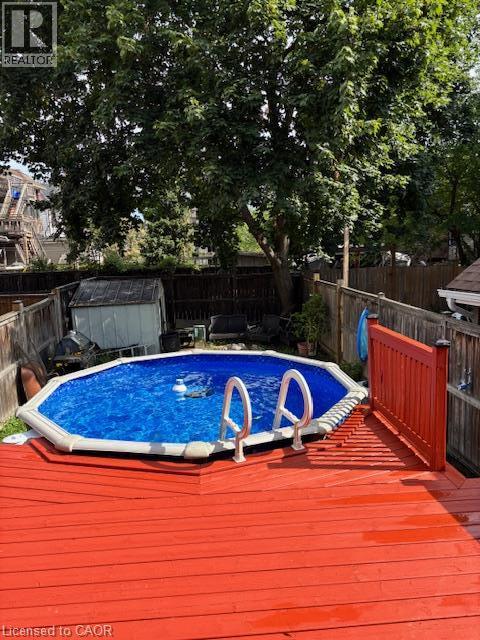 Expansive backyard featuring a vibrant red deck, above-ground pool, and mature trees - 11 Elm Street, Hamilton, ON