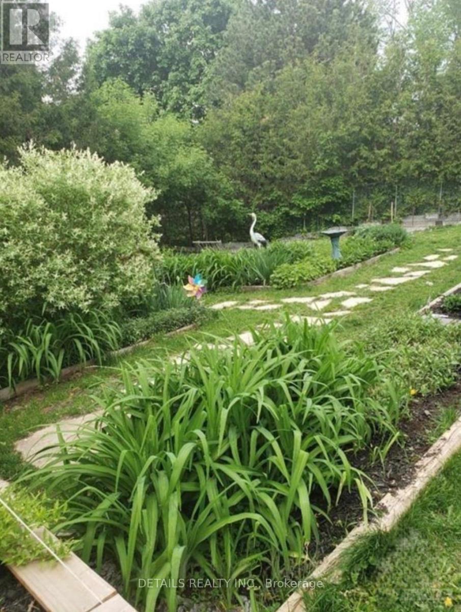 Backyard in Summer - 3021 Richmond Road, Ottawa, ON