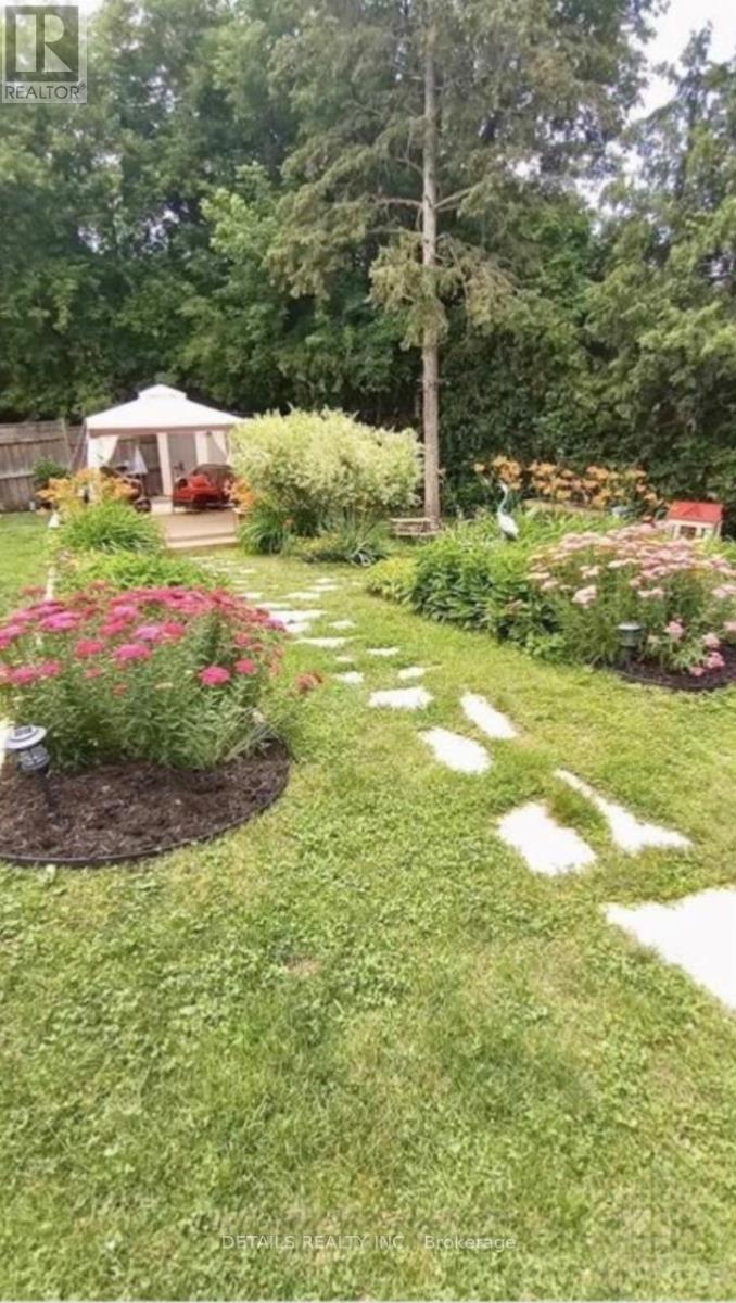 Backyard in Summer - 3021 Richmond Road, Ottawa, ON