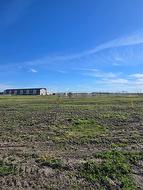 18 Saskatoon Crescent Steinbach, MB R5G 2Z1