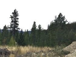 125 Ponderosa View Kimberley, BC V1A 0A5