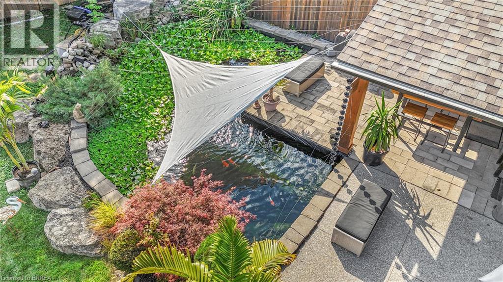 koi pond - 60 Mountain Brow Boulevard, Hamilton, ON