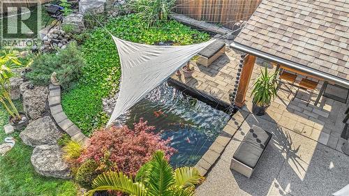 koi pond - 60 Mountain Brow Boulevard, Hamilton, ON 