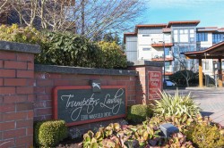 #322-2300 Mansfield Dr Courtenay, BC V9N 3S3