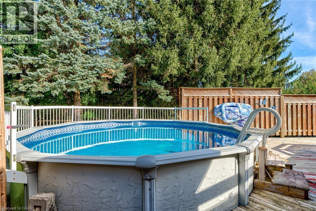 Above-ground pool with surrounding white railing, adjacent wooden privacy fence, and mature evergreen trees - 8 Bonnylyn Drive, Kitchener, ON