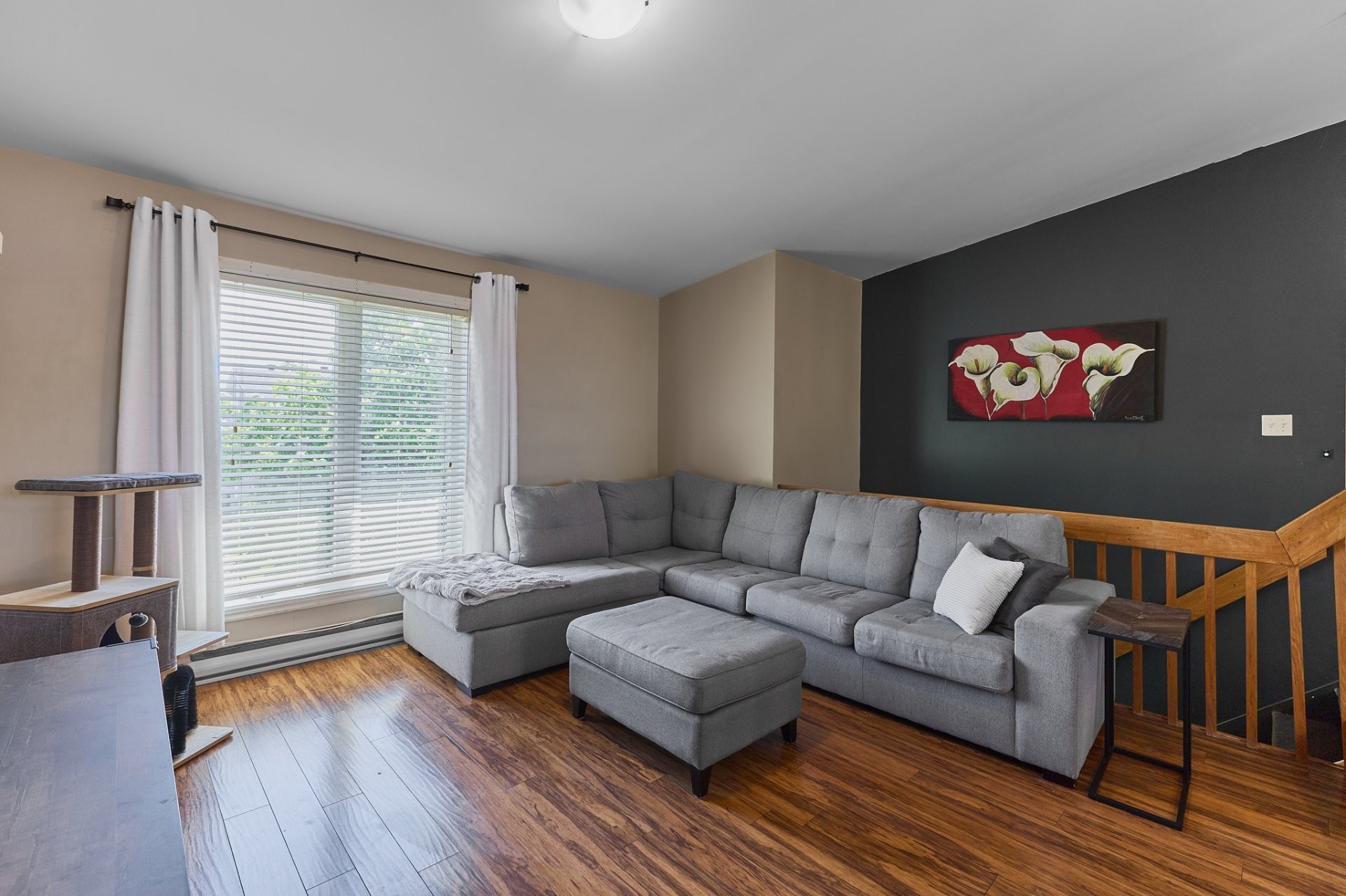 Salon - 1 - 1B Rue Ouellette, Saint-Constant, QC