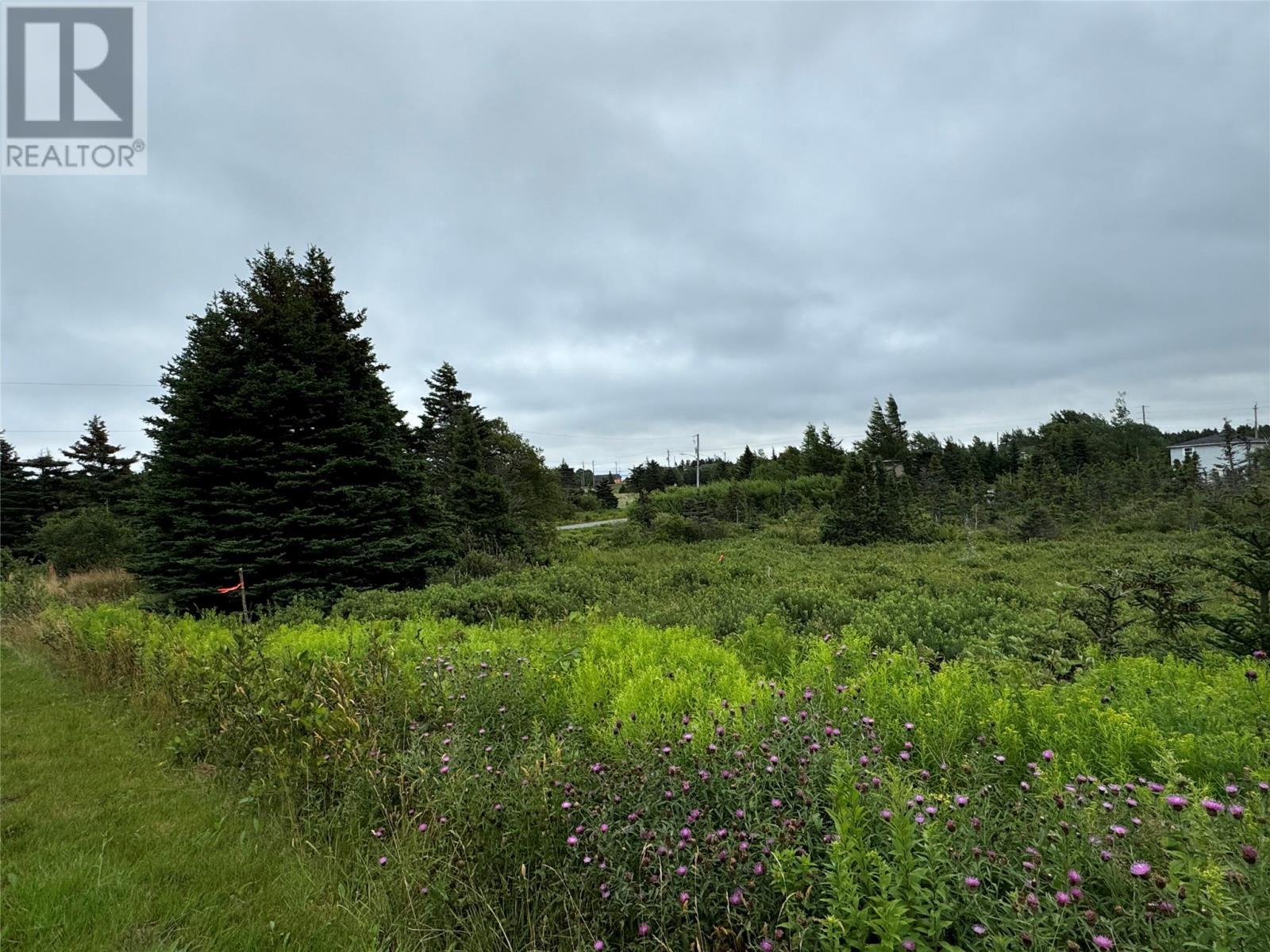 17A Crowes Lane, Torbay, NL