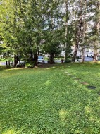 Overall view - 