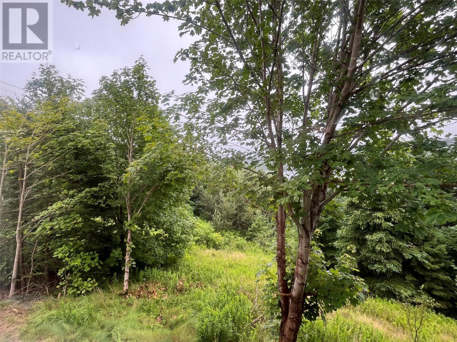 201 Main Road, Aquaforte, NL - Outdoor