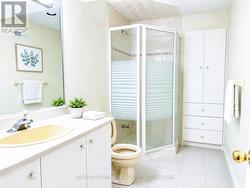 Basement Bathroom - 