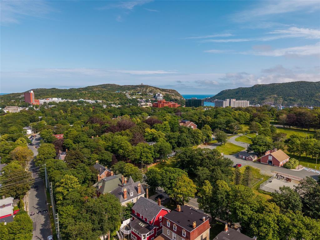 42 Empire Avenue, St. John'S, NL - Outdoor With View