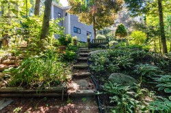 Trails going up to the property from driveway - 