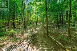 Manicure Trails - 