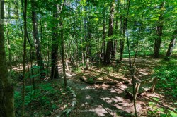 Manicure Trails - 