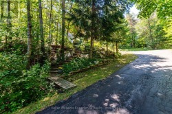 Trail entrance from the driveway - 