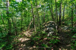 More trails to explore... - 