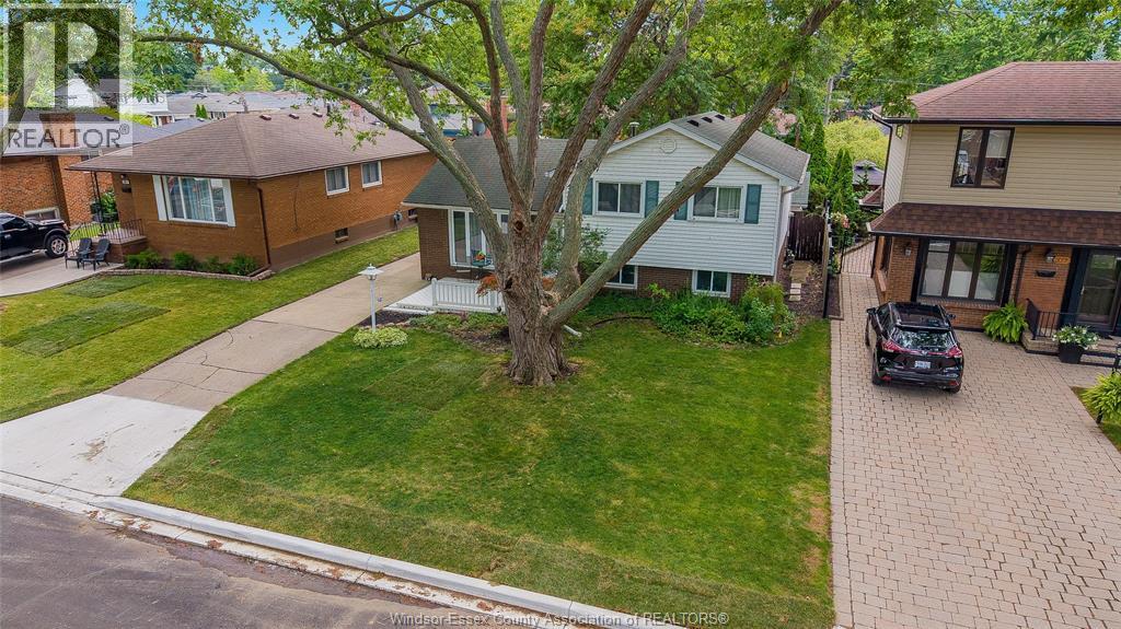 381 Carling, Windsor, ON - Outdoor