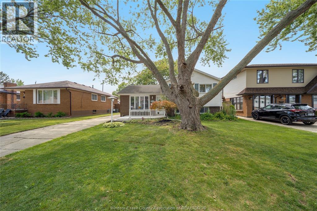 381 Carling, Windsor, ON - Outdoor
