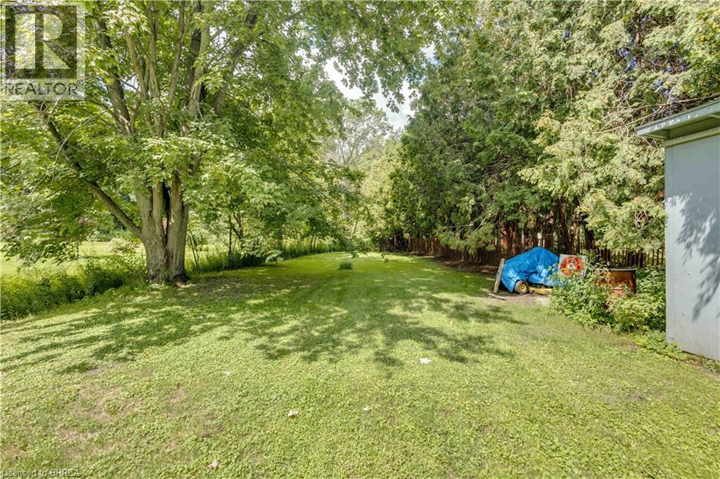 Expansive green space featuring a mature deciduous tree, dense evergreen perimeter, and a detached structure - 995 Mcdowell Road E, Simcoe, ON - Outdoor