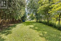 Expansive backyard with a manicured lawn, established trees. -