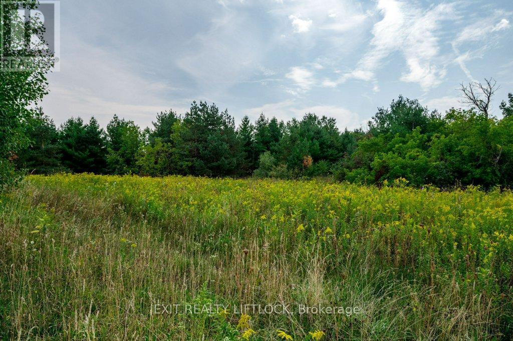 194 County Rd 10, Cavan Monaghan (Cavan Twp), ON - Outdoor