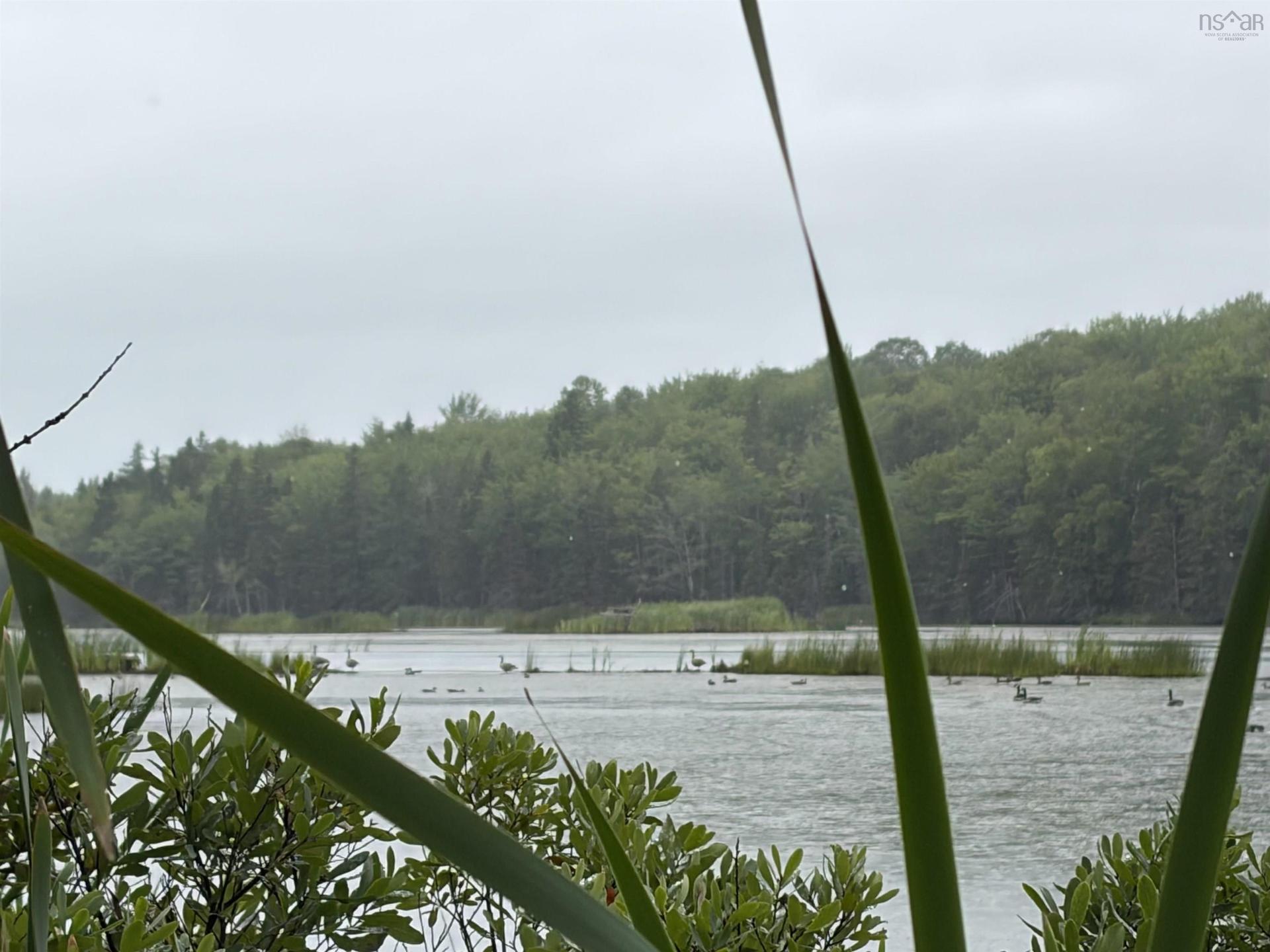 0 Southside River Denys Rd, Valley Mills, NS