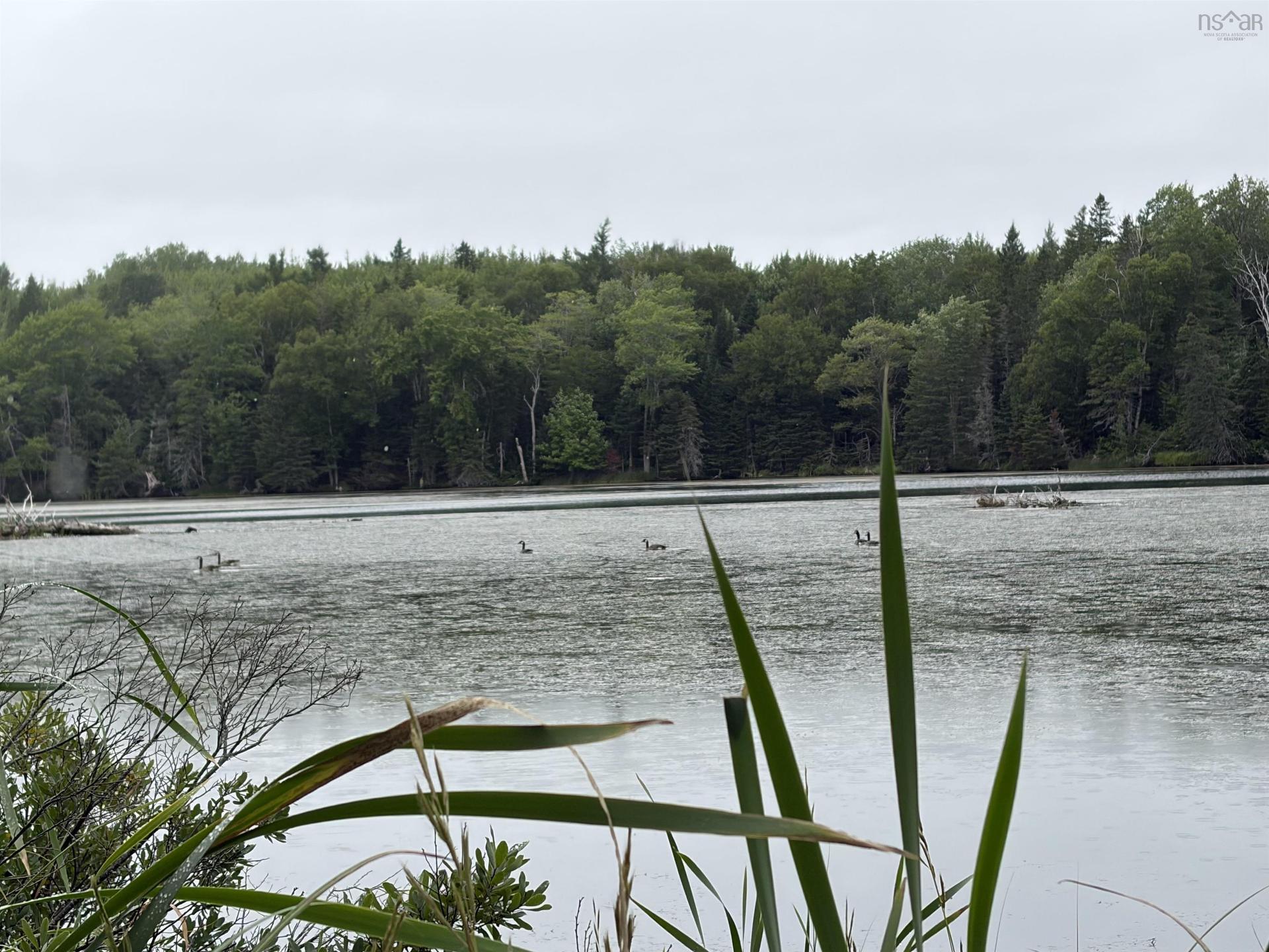 0 Southside River Denys Rd, Valley Mills, NS