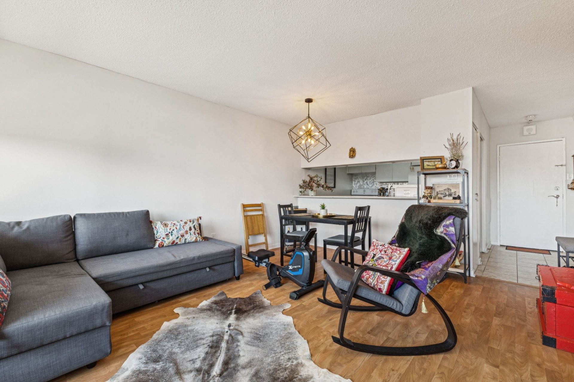 Salon - 909-285 Rue Laurier, Gatineau (Hull), QC - Indoor Photo Showing Living Room