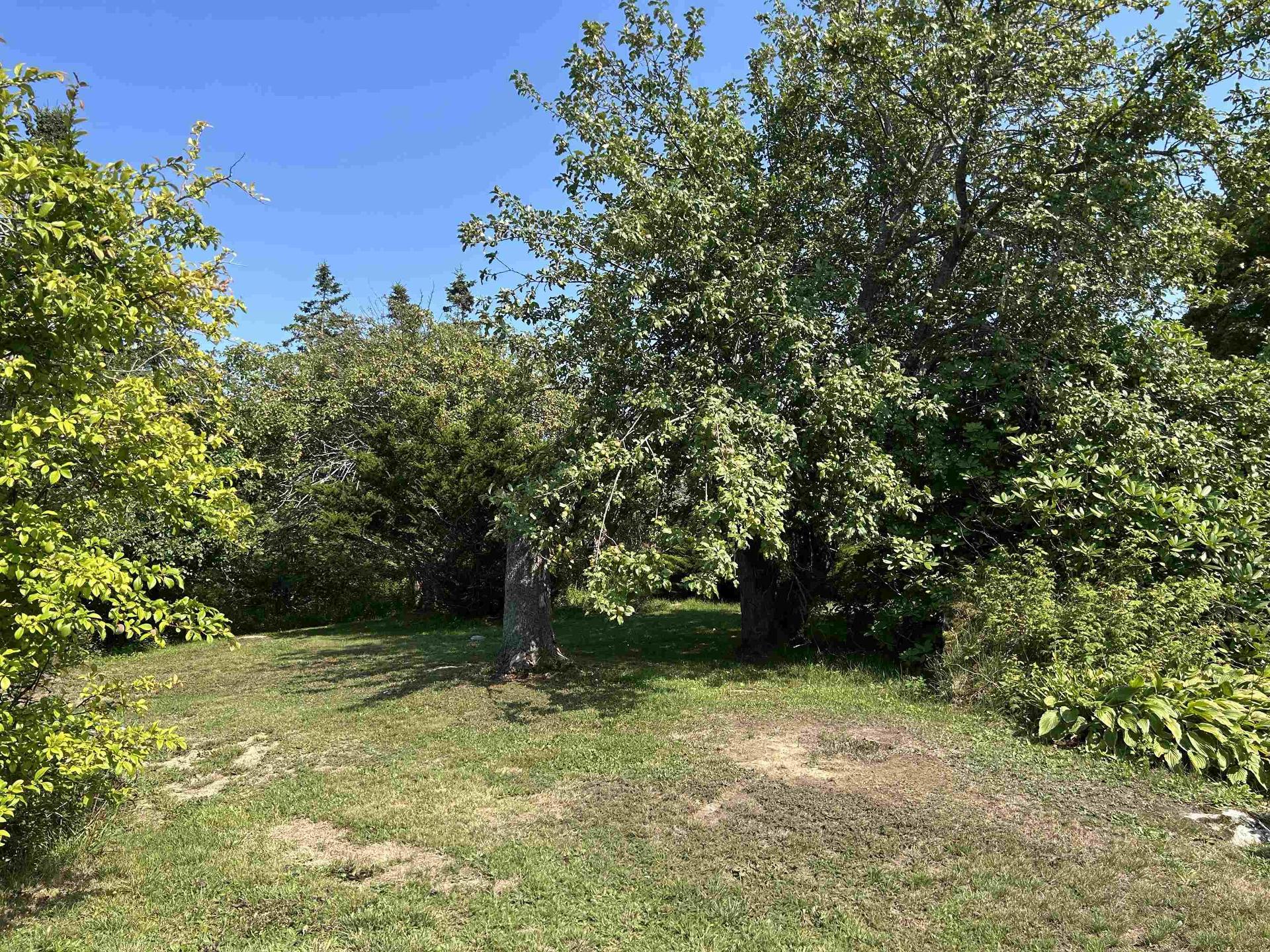7532 Highwy 3, Upper Woods Harbour, NS - Outdoor