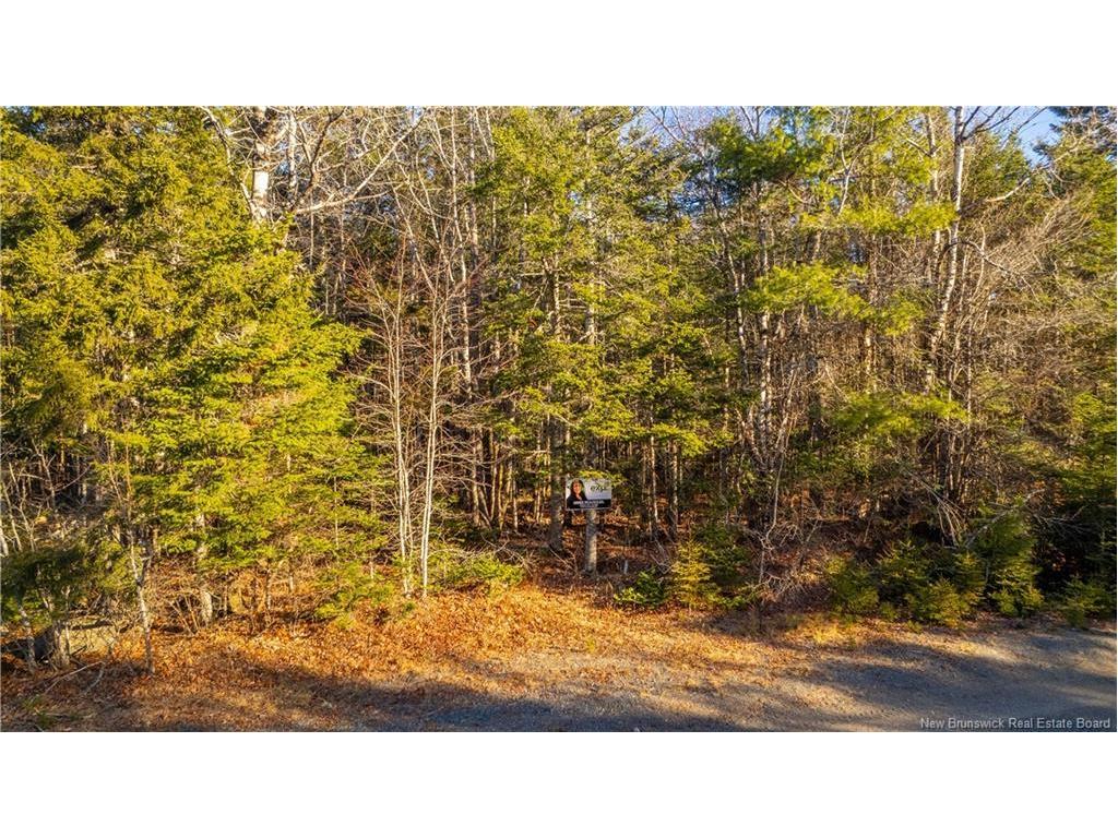 0 Boyd/Clarence Ridge Rd, Rollingdam, NB