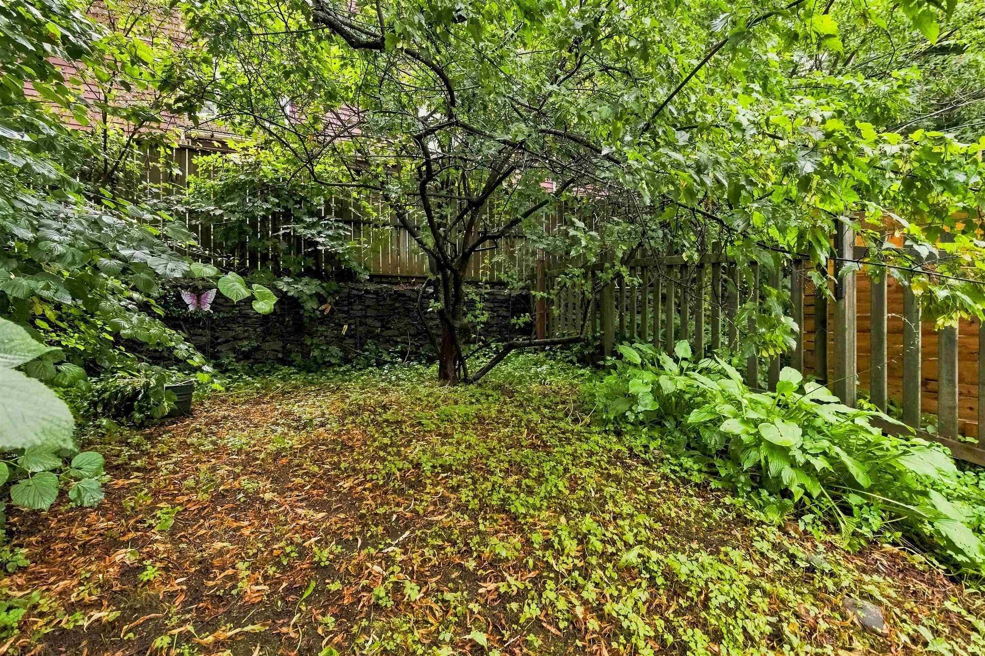 2552 Brunswick Street, Halifax, NS - Outdoor