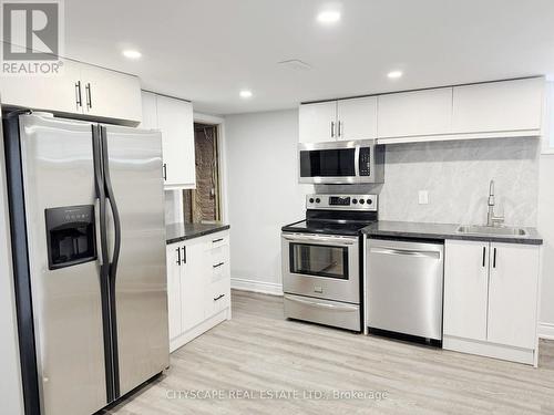 Basement: Kitchen - 205 Bonaventure Drive, Hamilton, ON 