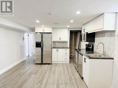 Basement: Kitchen - 205 Bonaventure Drive, Hamilton, ON 