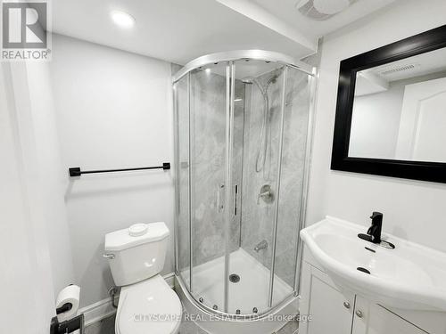 Basement: 3pc Bathroom #2 - 205 Bonaventure Drive, Hamilton, ON 