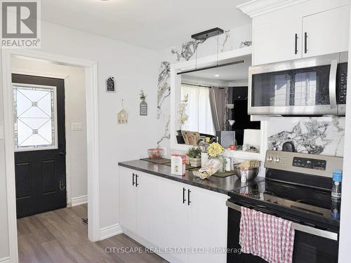 Kitchen - 205 Bonaventure Drive, Hamilton, ON 