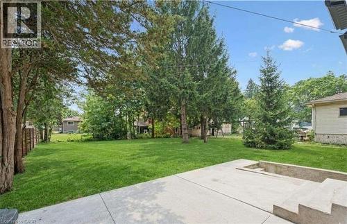 yard with mature trees, a concrete patio, and built-in concrete steps - 245 Lowther Street S, Cambridge, ON 