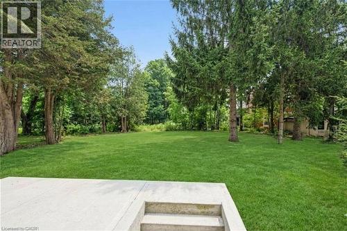big green area surrounded by mature trees, featuring a concrete patio with integrated steps - 245 Lowther Street S, Cambridge, ON 