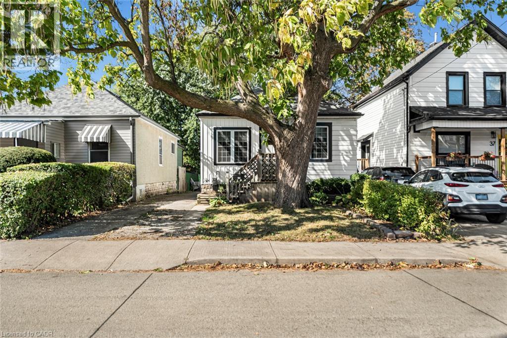 White exterior with black trim, concrete sidewalk, mature tree, and a paved driveway - 29 Wexford Avenue N, Hamilton, ON