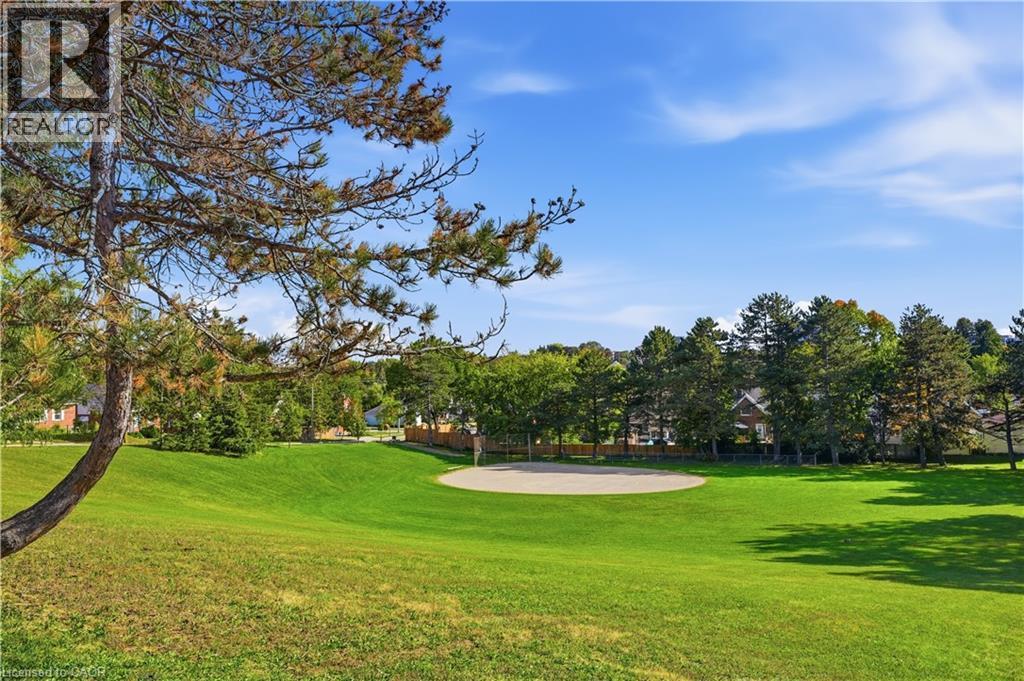 Expansive green lawn with mature trees and a sand-covered circular amenity - 12 Hill Street, Kitchener, ON
