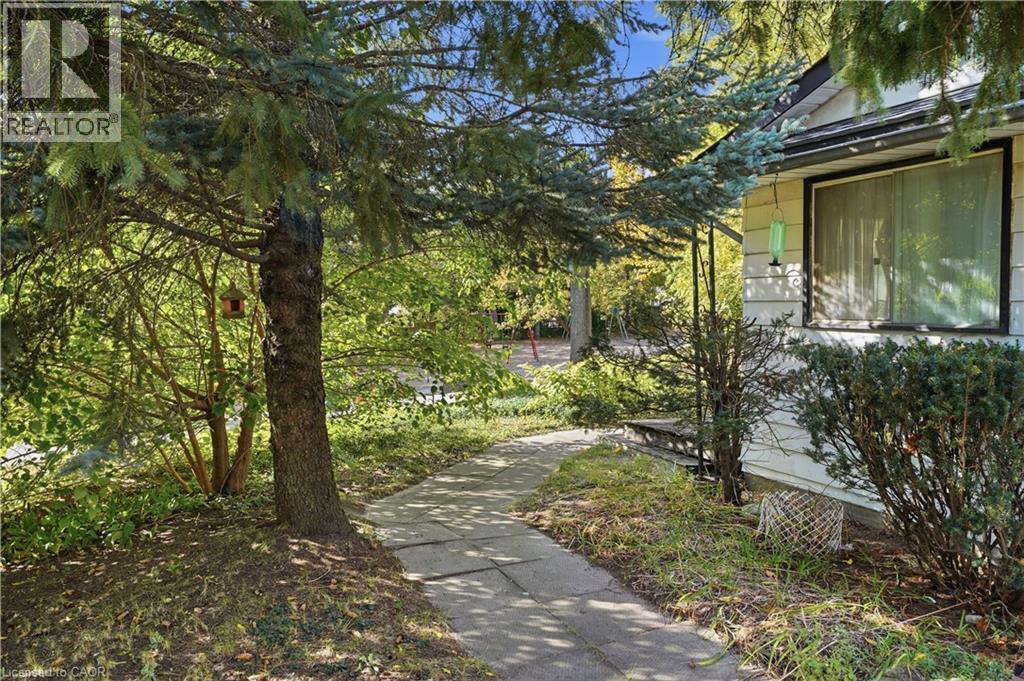 Stone pathway leading to the residence, complemented by established evergreen trees and maintained shrubbery - 12 Hill Street, Kitchener, ON